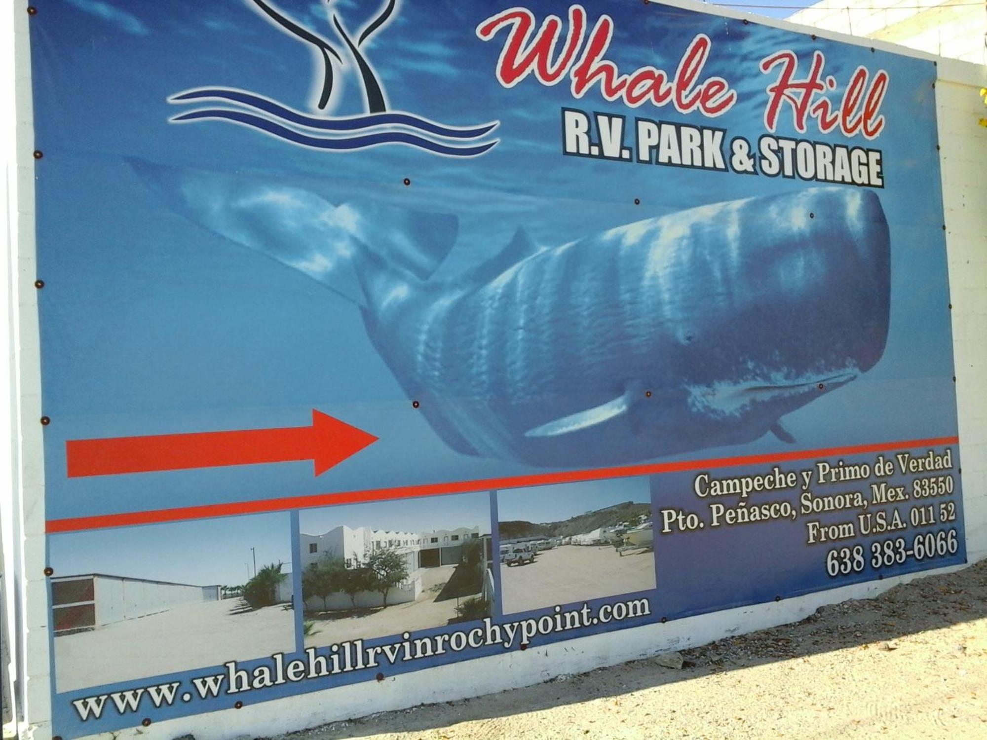 Whale Hill Puerto Peñasco Quarto foto